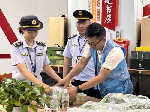 廣西龍勝“你點(diǎn)我檢” 科技賦能校園餐飲管理，守護(hù)學(xué)生舌尖安全